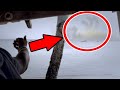 10 SCARY Sea Creatures Caught On Tape