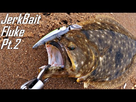 Jerkbait Fluke Madness - SAVAGE Reaction Strikes - Triple Limit Flounder Fishing from Shore ヒラメ