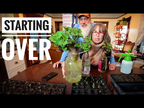 The RESTART & Planting By THE MOON | What I've Learned So Far