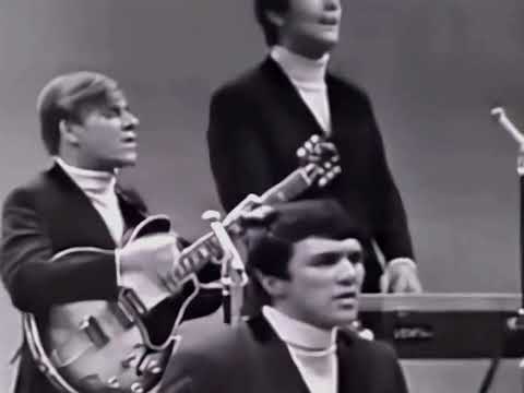 NEW * Everybody Knows (I Still Love You) - The Dave Clark Five {DES Stereo} 1965