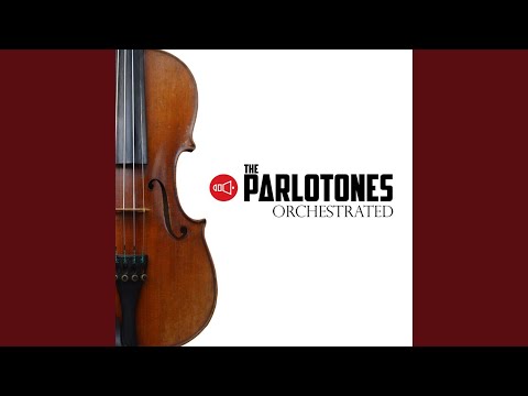 Stardust Galaxies (Live)