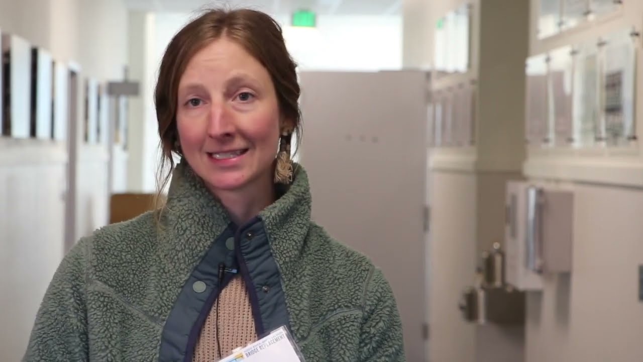 Bridge Aesthetics Committee Overview