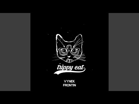 Frontin (Original Mix)