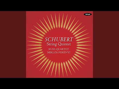 String Quintet in C Major, D. 956: II. Adagio