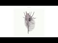 Quiet Steps Dying Livers Midwest Emo Shoegaze 2012 Full Album