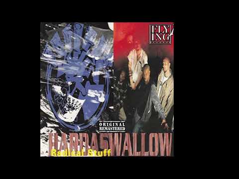 Radical Stuff - Hardswallow (Full Album) 1994