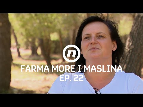 Pokrenuta ideja OPG Farma - Epizoda 22 | Farma More i Maslina