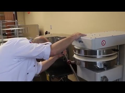 Univex SPRIZZA40 Bench Model Automatic Start/Stop Pizza Dough Spinner, 3/4 HP, 115V/1Ph 2 image