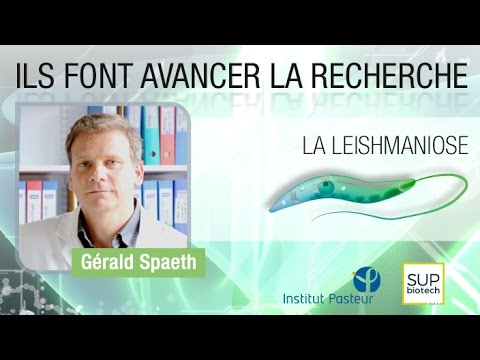 Pasteur Institute - S06E02 - Leishmaniasis - Gérald Spaeth
