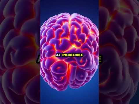 The Science of Sound: From Waves to Perception 🎶🌊