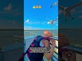 Life Too Short Feed The Seagulls Sharing Snacks With The Sky Crew Seagulls Funnycatches Seagulls