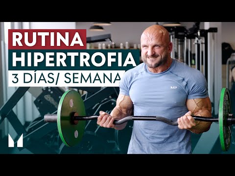 3-Day Gym Routine to Gain Muscle