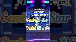 Download lagu Karaoke Wedhus mp3
