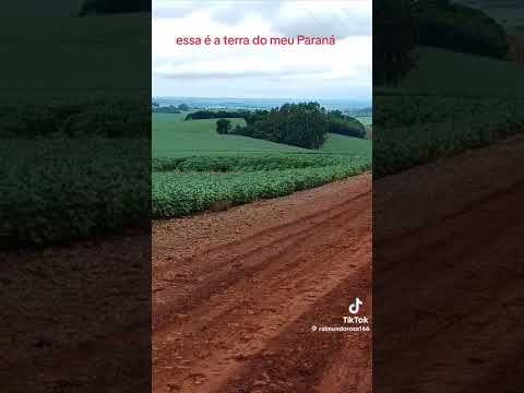 6 de dezembro de 2025