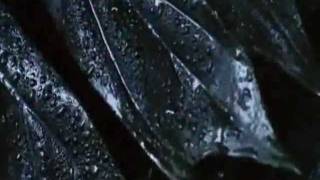 Sarah Brightman ...  EDEN