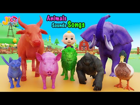 Animals Sounds Song 2 🐷🐷 Oink Oink! 🐄🐄 Moo Moo | Jicoco Nursery Rhymes & Kids Songs