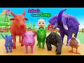 Animals Sounds Song 2 Oink Oink Moo Moo Jicoco Nursery Rhymes Kids Songs