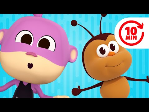 Maimutelul Tico Și Mai Multe Cântece Pentru Copii | Regatul Copiilor