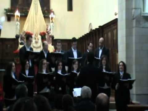 Jingle bells Piertoni (Arr. B. Tirotta).mpg