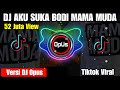 DJ AKU SUKA BODI MAMA MUDA REMIX TIKTOK VIRAL 2020