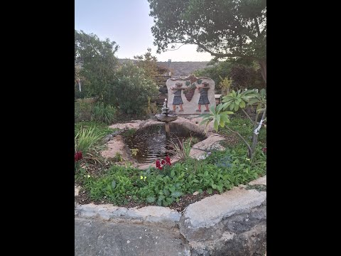 נחלה בטבע חווה לאוהבי הטבע והאוכל הדרוזי