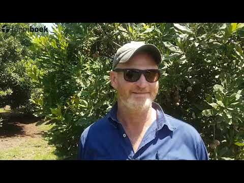 Loskop ICT - Shane Davies
