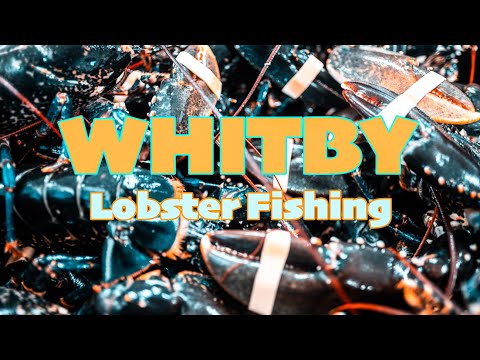 Whitby Lobsters - New Boat, New Season - Arkane 2 Fishing Adventure