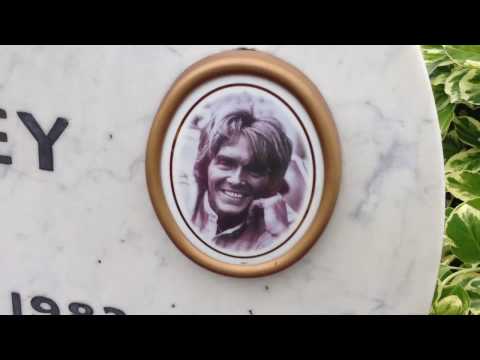 Billy Fury Grave, tributes 17 Apr 2017