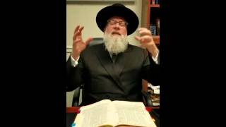 Rav Moshe Tuvia Lieff