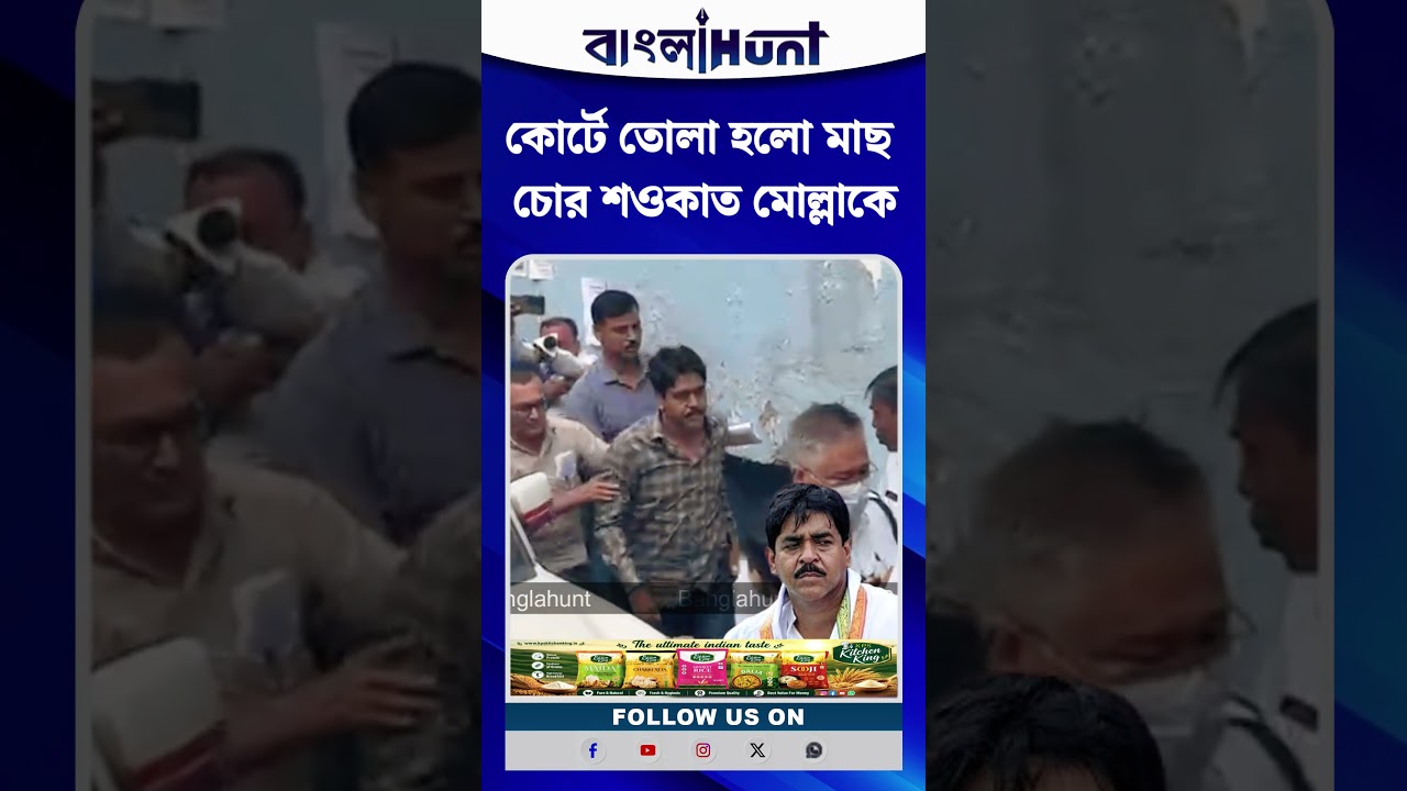 কোর্টে তোলা হলো মাছ চোর শওকাত মোল্লাকে