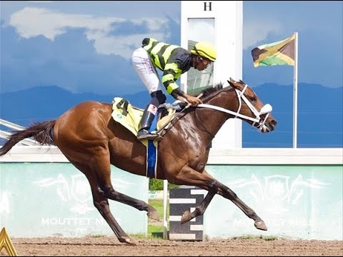 A Closer Analysis Of Sir Don