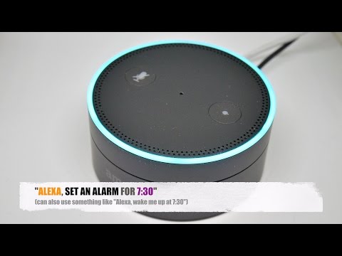 Alexa Language Lesson 101