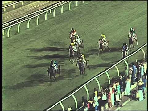 Galoppo 11/07/2015 - 5° corsa