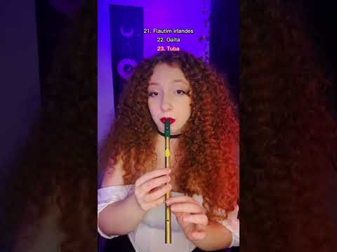 Os instrumentos que eu toco