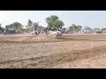Pak Gujjar Star Neza Bazi Team Bazi In Head Khokhra Gujrat Pakistan ️ Chaqifgujjar1086 Horses