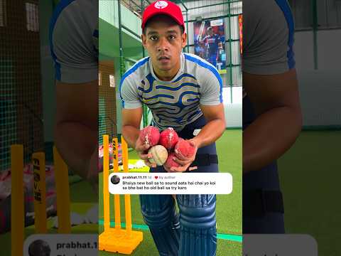 Player Edition Cricket Bat | Real Punch Test with Old Leather Ball | Ciel Sports