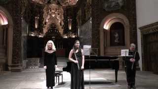 Hora Staccato. Dinicu.