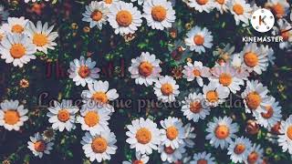 Download lagu Never loved before - Bobby Caldwell mp3