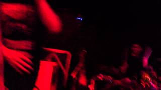 Street Dogs - In Defense of Dorchester