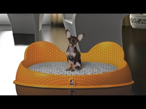 Chihuahua dog bed | modern dog bed | pet care | pet toys |