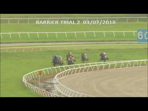 3 JULY 2018 TRIAL 2