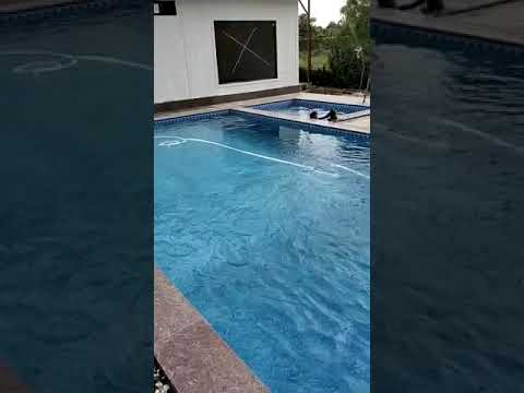 Swimming Pool Pipeless Filter