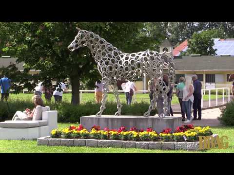 BBAG YEARLING SALE 2019