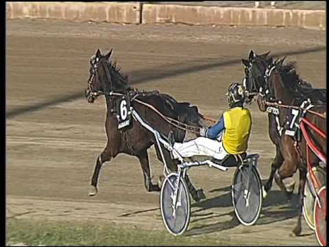 Trotto 26/02/2017 - 3ª corsa