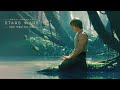 Patience You Must Have – STAR WARS Ambient Music to Meditate & Focus like a Jedi