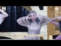 Clip 1
