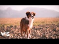 Hudson and Troop - One & One 