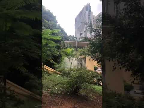 São Paulo, SP.#viagens #lugaresparavisitar