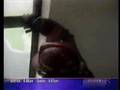 The Katrina Video Congress Didn T Want You To See