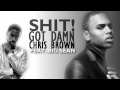 Shit, Got Damn - Chris Brown feat. Big Sean 